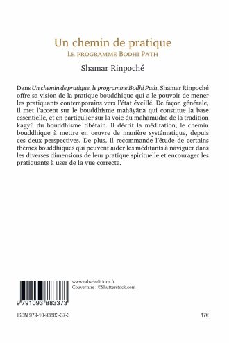 4_Un_chemin_de_pratique